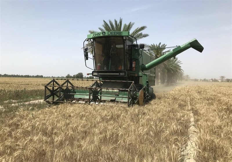 نرخ خرید تضمینی گندم امروز تعیین میشود/ برآورد قیمت ۱۴۶۰۰ تا ۱۷۰۰۰ تومانی برای گندم دیم نرخ خرید تضمینی گندم امروز تعیین میشود/ برآورد قیمت ۱۴۶۰۰ تا ۱۷۰۰۰ تومانی برای گندم دیم