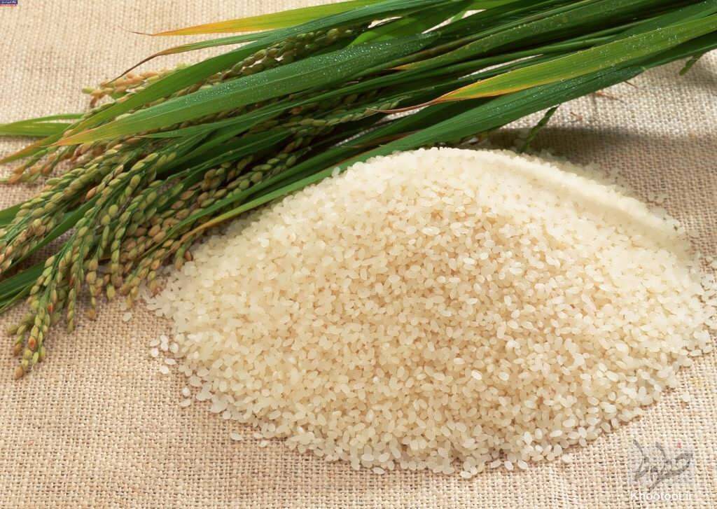 قیمت جدید برنج اعلام شد/ جزییات