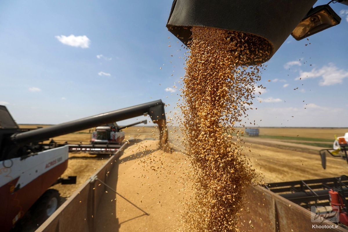 ۹ میلیون و ۴۰ هزار تُن گندم از کشاورزان سراسر کشور خریداری شده است