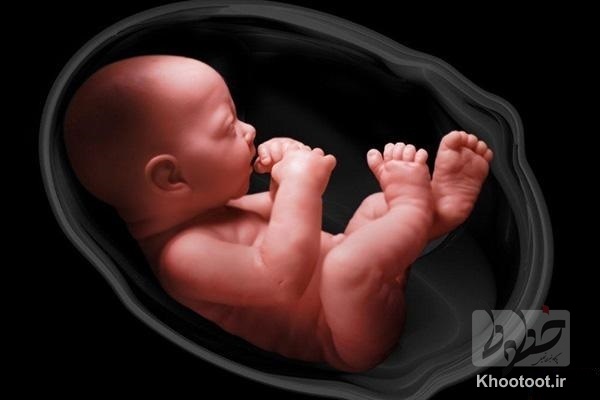 تصمیم «شوکه کننده» وزارت بهداشت برای توقف غربالگری جنین