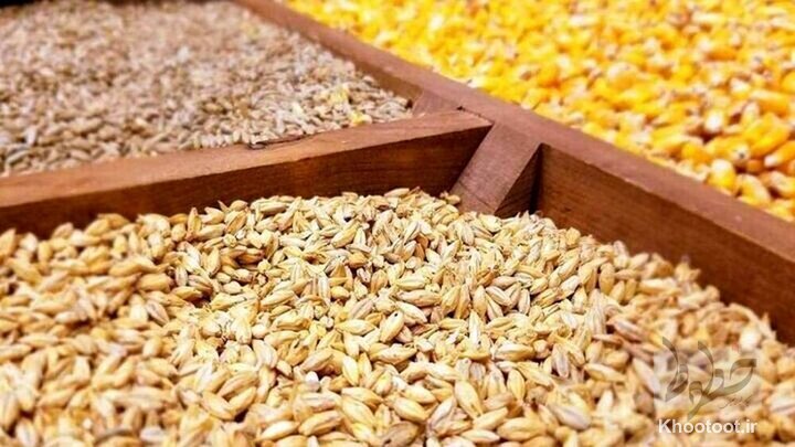 تخصیص ارز کالاهای اساسی شامل چه محصولاتی میشود تخصیص ارز کالاهای اساسی شامل چه محصولاتی میشود