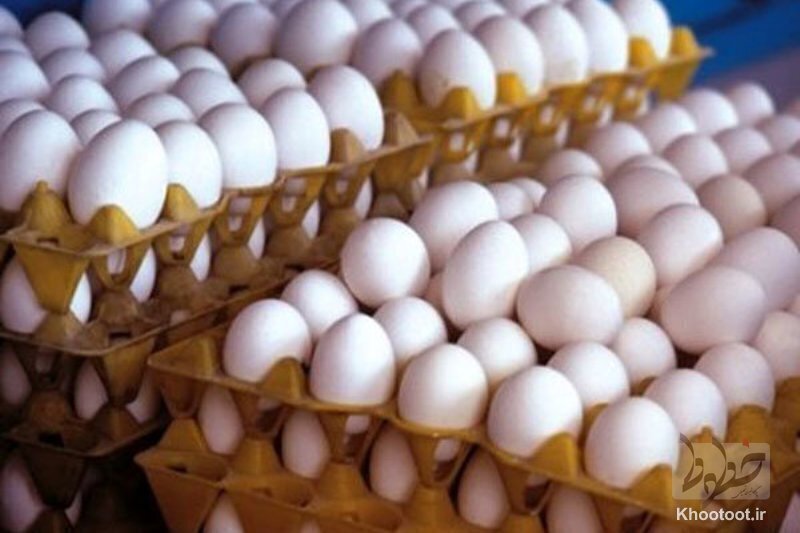 با تامین کنجاله سویا تولید تخم مرغ به یک میلیون و ۲۰۰ هزارتن می‌رسد