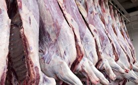 کاهش 8 درصدی عرضه گوشت قرمز
