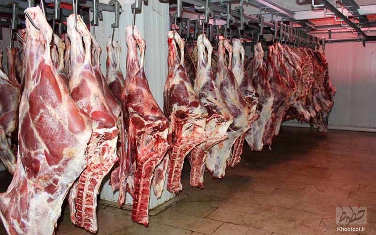 کاهش فروش گوشت داخلی در بازار الزاماً به معنای کاهش مصرف نیست | مردم بیشتر به خرید گوشت تنظیم بازاری تمایل دارند!