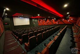 بزرگترین آسیب سینمای ایران خط دادن دولت به سینماست!/عدم اطمینان به آمار فروش فیلم‌ها