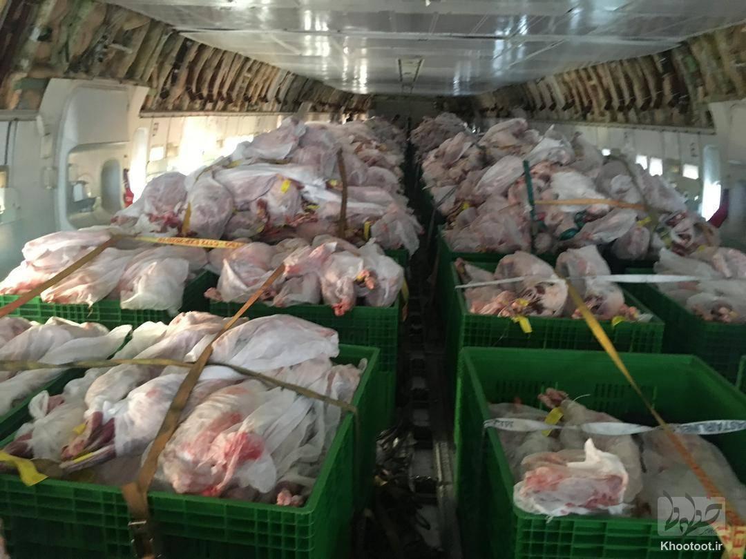 41 تن گوشت وارد ایران شد