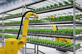اولین مزرعه عمودی جهان که توسط هوش مصنوعی کنترل می‌شود