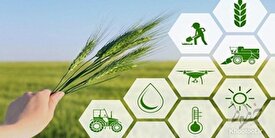 آخرین دستاورد‌های جهانی و منطقه‌ای را محققان در اختیار کشاورزان قرار دهند/لزوم بهبود ژنتیک در ۳ حوزه