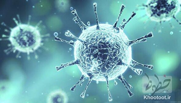 ویروس‌های شایع فصل تابستان؟/افزایش عفونت‌های گوارشی طی روزها و ماه‌های آینده/این بیماری تمامی گروه‌های سنی را درگیر می‌کند!