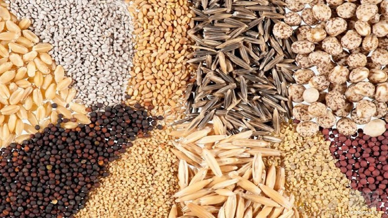 افزایش 30 درصدی قیمت نهادههای دامی متوقف شد افزایش 30 درصدی قیمت نهادههای دامی متوقف شد
