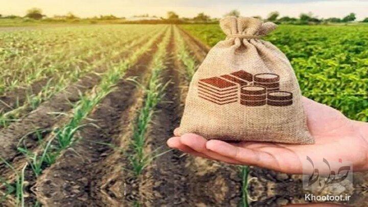 عزم جدی بیمه کشاورزی در تقویت پایههای مالی عزم جدی بیمه کشاورزی در تقویت پایههای مالی