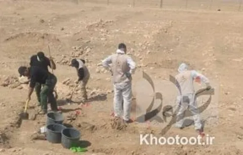 کشف گور دسته جمعی در نجف