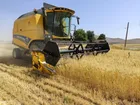 آغاز واریز تدریجی ۱۱۰ همت دیگر از مطالبات گندم‌کاران