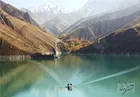 مشکلی که گل محمدی با آن دست و پنجه نرم می‌کند