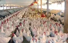 عمران و آبادی قطعه منافقین و ضد انقلاب/ منتظر برخورد آقای زاکانی هستیم!