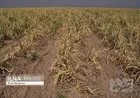 چشم‌انداز خاورمیانه در سایه خشکسالی چیست