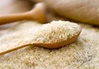 پیکر بیتا فرهی تشییع شد