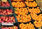 واکنش صحرایی به ماجرای «تفکیک جنسیتی کتاب‌های درسی»