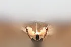 عملیات ایران برای تنبیه آمریکا ادامه دارد