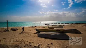 آزادسازی بیش از ۸۵ درصد سواحل جنوب
