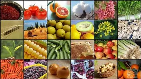 بازاری پر از محصولات یلدایی و پروتیینی / قیمت‌ها در آذر ماه کمترین تغییر را تجربه کردند!