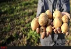 ایجاد محیطی امن برای کسب‌وکارهای نوظهور
