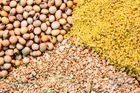 تامین نهاده دامداران عشایری و روستایی با ارز دولتی