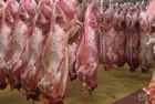 گرانی‌های اخیر گوشت توجیهی ندارد / عرضه گوشت گوسفندی بالاتر از ۱۵۰ هزار تومان گرانفروشی است
