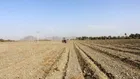 گزارش دادستان تهران از تخلفات در اراضی زراعی و باغ‌ها