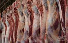 واردات گوشت ربطی به کمبود ندارد!/اختلاف منطقی گوشت گرم با منجمد ۱۰ هزار تومان است