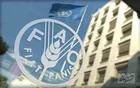 افزایش قیمت مواد غذایی همچنان ادامه دارد