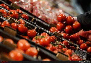 هفدهمین نمایشگاه بین‌المللی معدن و صنایع معدنی برگزار می‌شود
