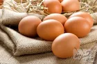 بررسی اختلالات اخیر اینترنت/ دستور رییس جمهور روی زمین ماند