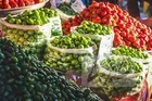 چراغ جشنواره‌های استانی روشن شد