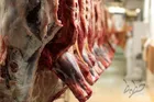 تهدید دامپروری ۱۳ استان به دلیل تنش آبی