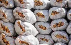 سیب زمینی ایران از ترکمنستان برگشت خورد