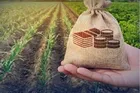 حداقل سهم بخش کشاورزی از وام‌های بانکی تعیین شد