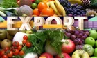 بیستمین نمایشگاه بین‌المللی متالورژی تهران برگزار می‌شود