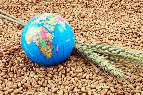 تاثیر جنگ اوکراین بر واردات گندم/آمار غلط به مردم ندهید!