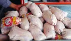 مازاد تولیددر مرغداری ها/ضرورت جمع آوری روزانه ۷۰۰ تن مرغ مازاد از سطح بازار