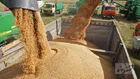 ارز ۴۲۰۰ فاسد می‌شود/دولتی‌هاخیالشان راحت است/سازمان‌هابه مصوبه‌ها پایبند نیستند!