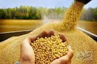 واردات ۳۳ درصدی نهاده‌های دامی