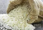 گرانی برنج ارتباطی با احتکار ندارد / رونمایی از دلیل اصلی گرانی برنج ایرانی در بازار