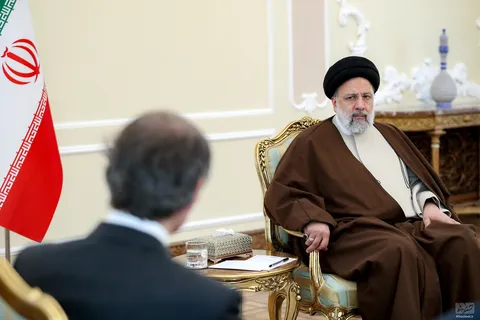 گزارش تصویری از دیدار مدیرکل آژانس اتمی با رئیس جمهور