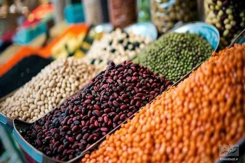 صادرات حبوبات ممنوع شد