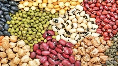 انواع حبوبات در بازار کیلویی چند؟