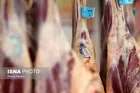 پرتاب نخستین ماهواره چوبی به فضا