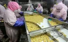 مشکل تولید کنندگان مواد غذایی تشریح شد
