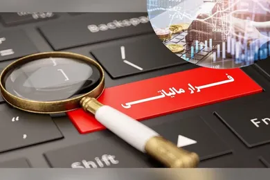 کشف ۶۹۰ میلیارد ریال فرار مالیاتی در واحد...