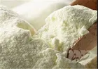 افزایش ۳۰ درصدی تولید شیرخشک